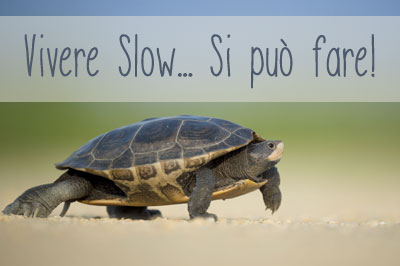 vivere-slow