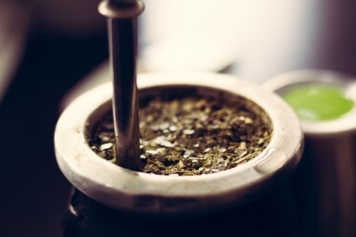 yerba mate infuso