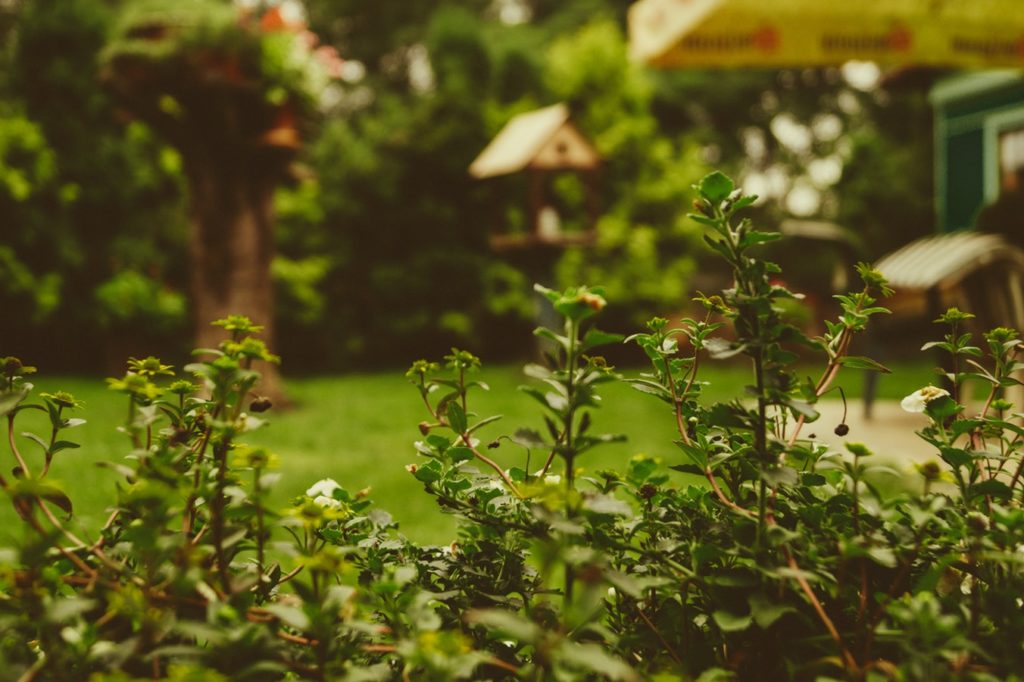 preparazione del giardino